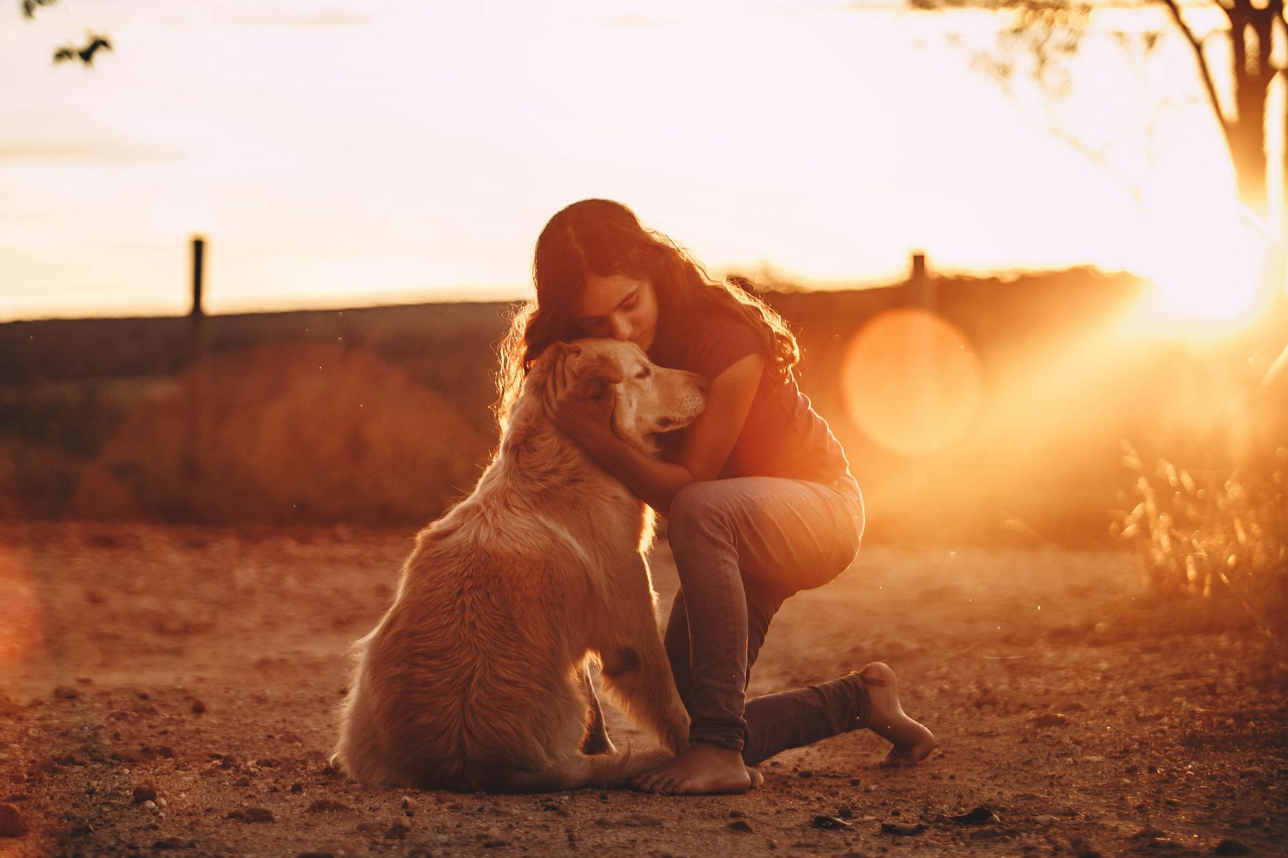 How To Prevent Compassion Fatigue As An Animal Empath